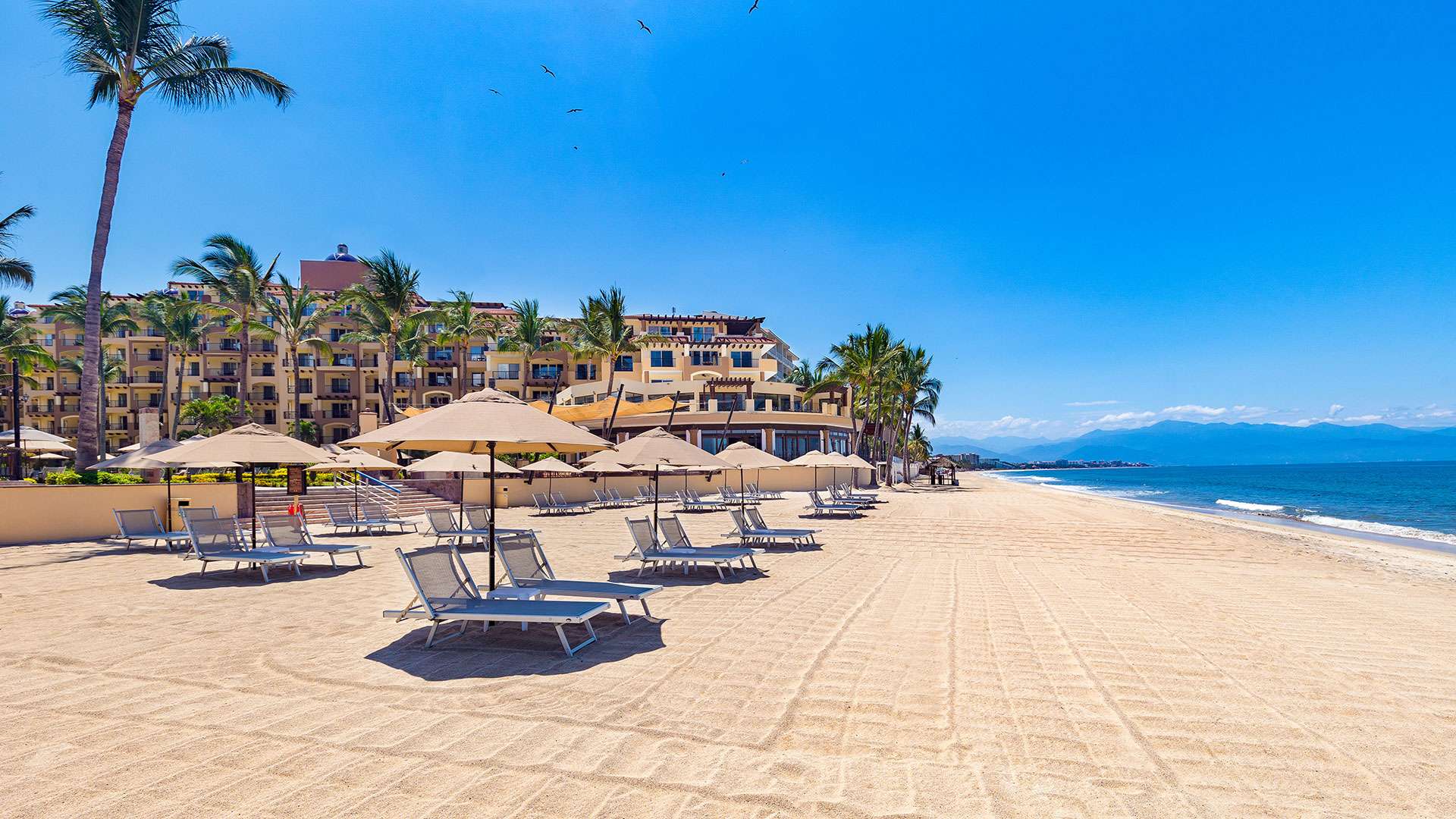 Optimizada nuevo vallarta weather